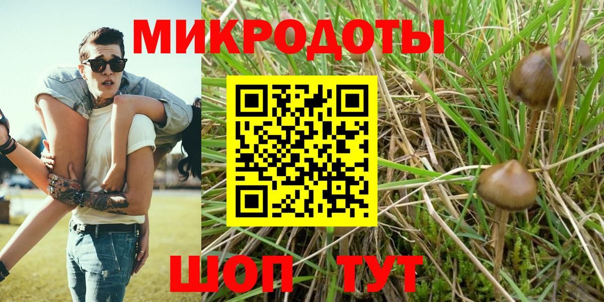 Чехов  Псилоцибиновые грибы мухоморы  Вход с VPN 